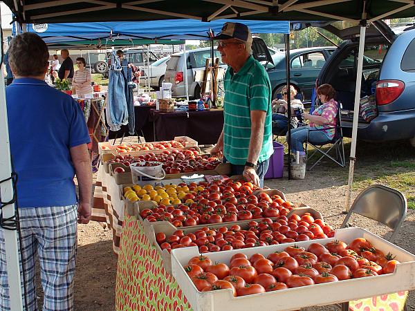 Tomatoes at Moose Lake Area Farmers Market