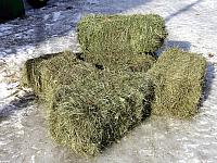 Square Bales   1st and 2nd crop. Call 218-273-6100 for pricing.