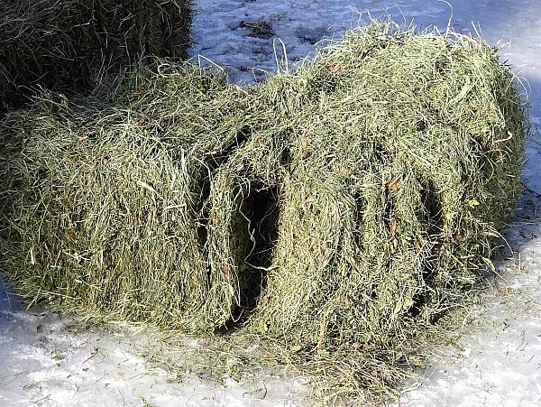 Split Square Bale
